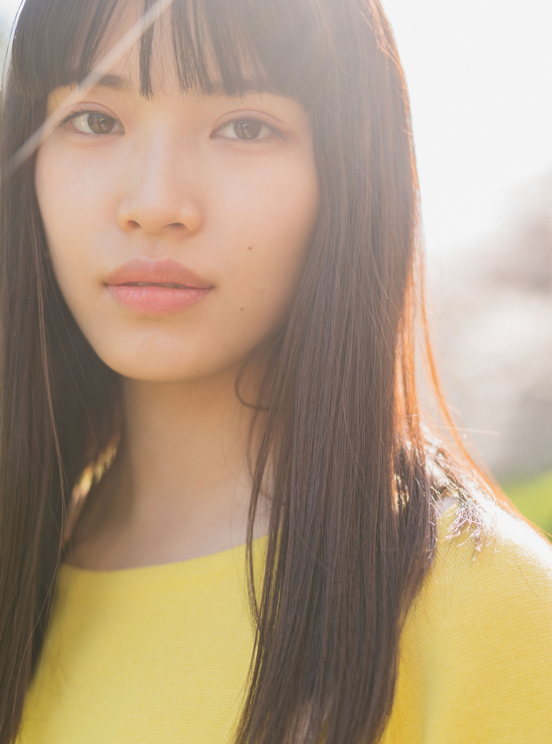 %e9%8e%8c%e7%94%b0%e3%82%89%e3%81%84%e6%a8%b9